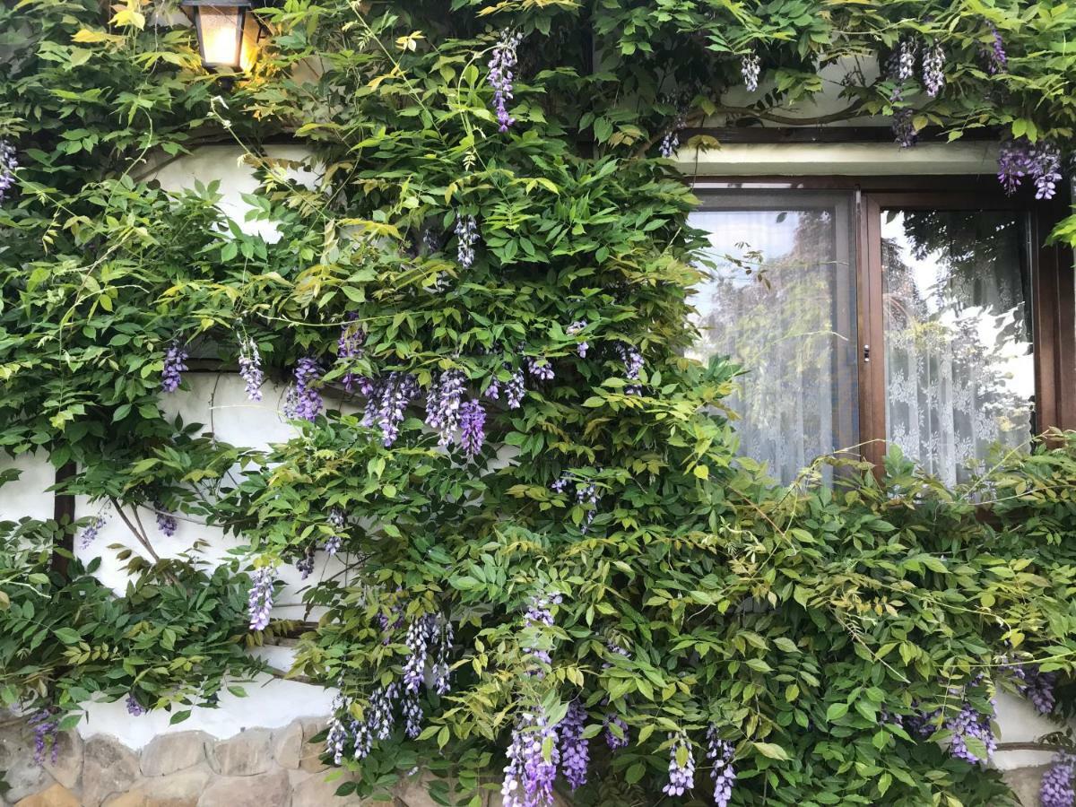 Casa Cu Suflet Hotell Sighişoara Eksteriør bilde